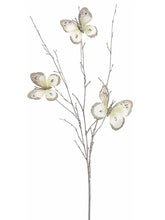 Load image into Gallery viewer, Cream Champagne