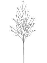 Load image into Gallery viewer, Silver
