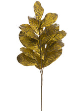 Load image into Gallery viewer, Antique Gold