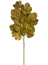 Load image into Gallery viewer, Antique Gold