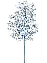 Load image into Gallery viewer, Blue