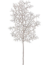 Load image into Gallery viewer, Copper