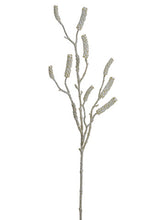 Load image into Gallery viewer, Beige