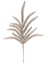 Load image into Gallery viewer, Champagne