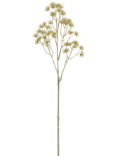 Load image into Gallery viewer, Beige
