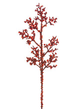 Load image into Gallery viewer, Red
