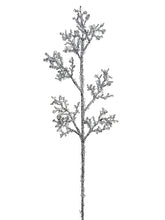 Load image into Gallery viewer, Silver