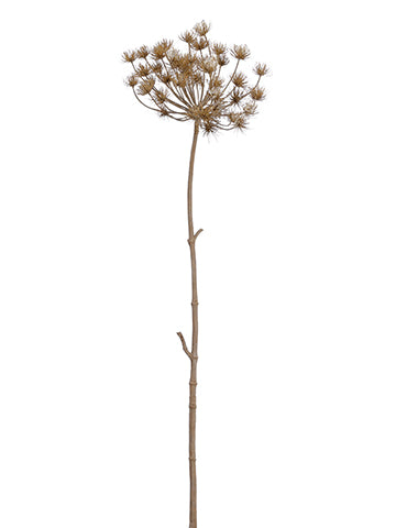 50