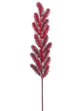 Load image into Gallery viewer, Red Glittered