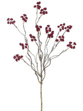 Load image into Gallery viewer, Burgundy