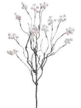 Load image into Gallery viewer, Cream White