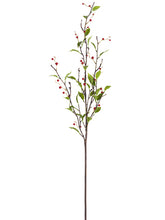 Load image into Gallery viewer, Green Red