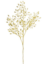 Load image into Gallery viewer, Gold