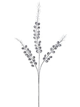 Load image into Gallery viewer, Silver