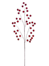 Load image into Gallery viewer, Red