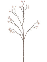 Load image into Gallery viewer, Rose Gold