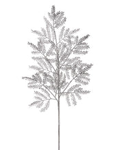 Load image into Gallery viewer, Silver