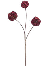 Load image into Gallery viewer, Glittered Burgundy