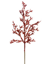 Load image into Gallery viewer, Red