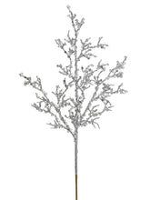 Load image into Gallery viewer, Silver