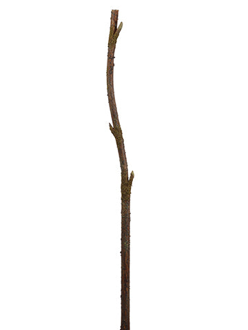 62