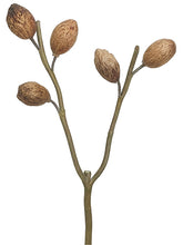 Load image into Gallery viewer, Light Brown