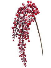 Load image into Gallery viewer, Red Iced