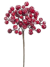 Load image into Gallery viewer, Red Iced