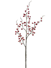 Load image into Gallery viewer, Red