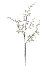 Load image into Gallery viewer, White Ice