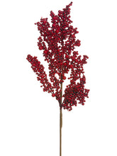 Load image into Gallery viewer, Red