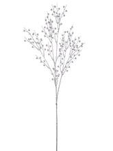 Load image into Gallery viewer, Silver
