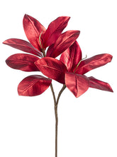 Load image into Gallery viewer, Red