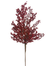 Load image into Gallery viewer, Red