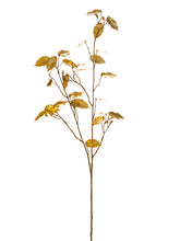 Load image into Gallery viewer, Gold