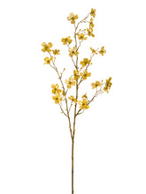 Load image into Gallery viewer, Gold