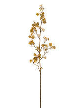 Load image into Gallery viewer, Gold