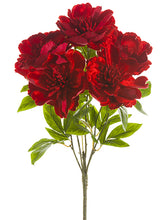 Load image into Gallery viewer, Red