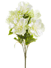 Load image into Gallery viewer, White