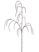 Load image into Gallery viewer, Silver