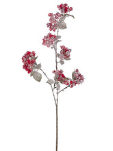 Load image into Gallery viewer, Red Snow