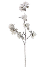 Load image into Gallery viewer, White Snow
