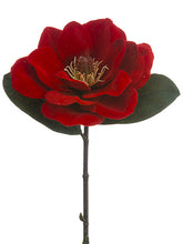 Load image into Gallery viewer, Red