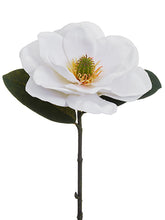 Load image into Gallery viewer, White