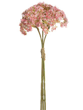 Load image into Gallery viewer, Pink