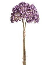Load image into Gallery viewer, Purple