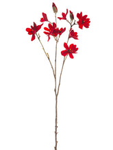 Load image into Gallery viewer, Red