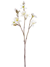 Load image into Gallery viewer, White