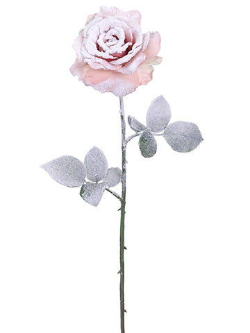 Snow Pink