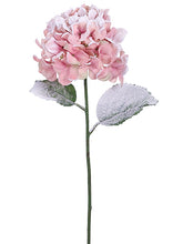 Load image into Gallery viewer, Snow Pink